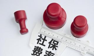 2021年社保缴费明细表 2021年社保缴费明细表